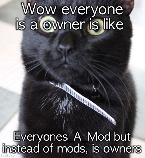 Woah Kitty Meme | Wow everyone is a owner is like; Everyones_A_Mod but instead of mods, is owners | image tagged in memes,woah kitty | made w/ Imgflip meme maker