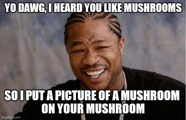 Yo Dawg Heard You Meme | YO DAWG, I HEARD YOU LIKE MUSHROOMS; SO I PUT A PICTURE OF A MUSHROOM 
ON YOUR MUSHROOM | image tagged in memes,yo dawg heard you | made w/ Imgflip meme maker