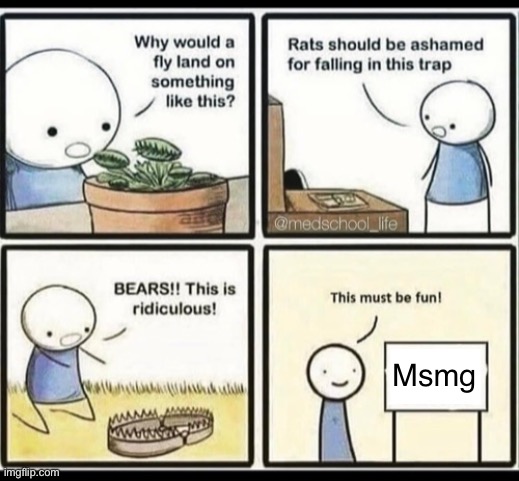 … | Msmg | image tagged in blank trap meme | made w/ Imgflip meme maker