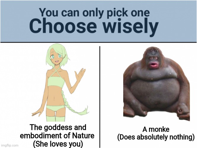 Choose wisely | The goddess and embodiment of Nature 
(She loves you); A monke
(Does absolutely nothing) | image tagged in you can pick only one choose wisely | made w/ Imgflip meme maker