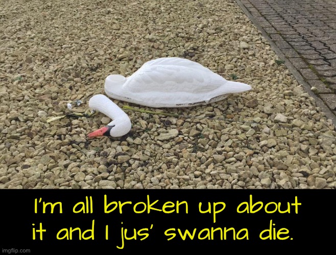 I’m all broken up about it and I jus’ swanna die. | made w/ Imgflip meme maker