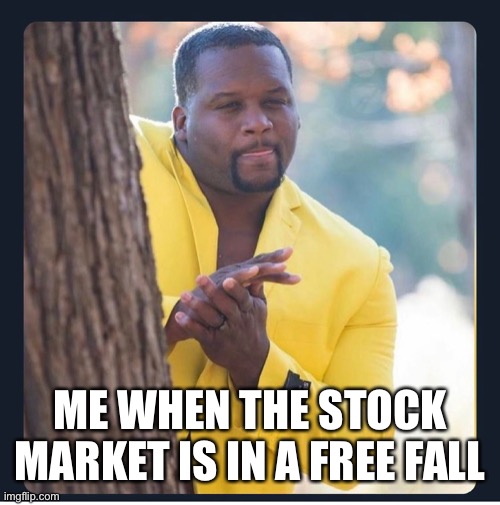 Stock Market Drops |  ME WHEN THE STOCK MARKET IS IN A FREE FALL | image tagged in stock market,stocks,finance,money,invest,retirement | made w/ Imgflip meme maker