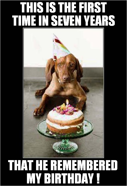 Age In Dog Years ! | THIS IS THE FIRST TIME IN SEVEN YEARS; THAT HE REMEMBERED MY BIRTHDAY ! | image tagged in fun,dogs,birthday,age | made w/ Imgflip meme maker