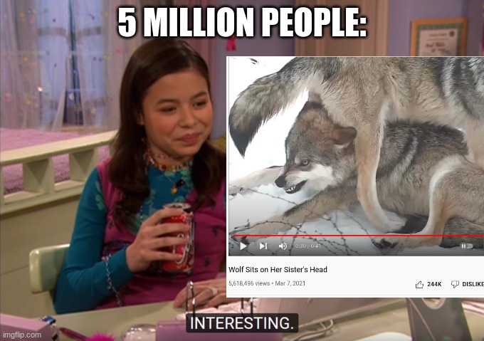 very interesting | 5 MILLION PEOPLE: | image tagged in wolf,icarly interesting,funny | made w/ Imgflip meme maker