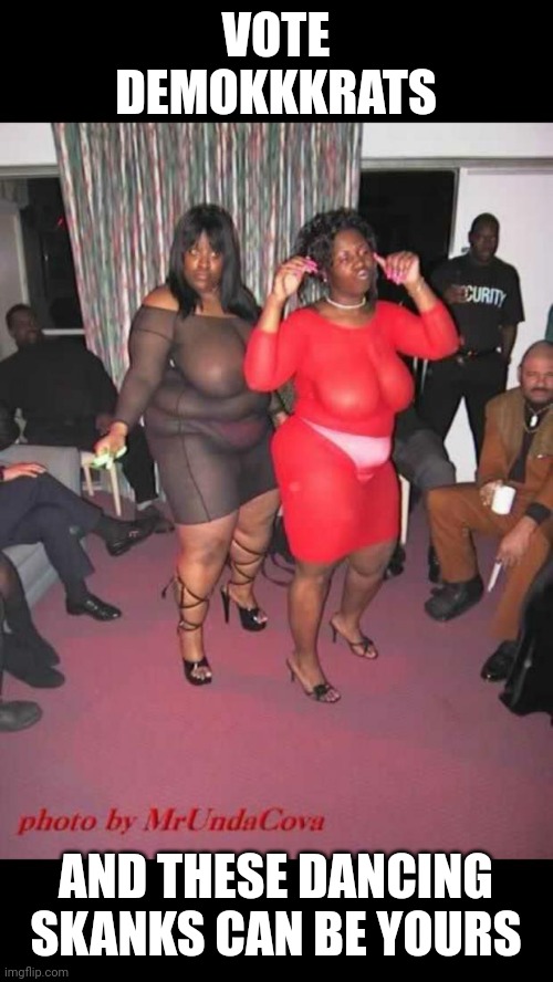 ghetto hoes | VOTE DEMOKKKRATS AND THESE DANCING SKANKS CAN BE YOURS | image tagged in ghetto hoes | made w/ Imgflip meme maker