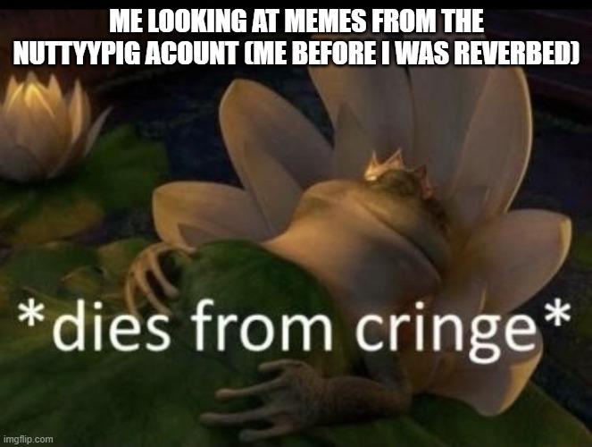 Dies from cringe | ME LOOKING AT MEMES FROM THE NUTTYYPIG ACOUNT (ME BEFORE I WAS REVERBED) | image tagged in dies from cringe | made w/ Imgflip meme maker