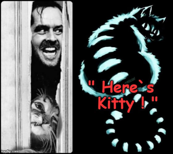 Johnny`s got help ! | " Here`s
  Kitty ! " | image tagged in omg cat | made w/ Imgflip meme maker