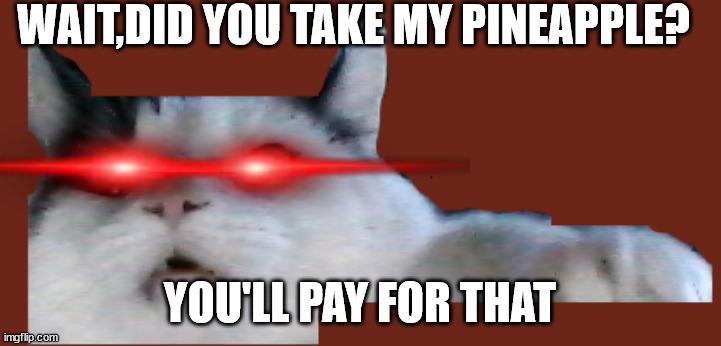YOU SHOULDN'T HAVE DONE THAT | WAIT,DID YOU TAKE MY PINEAPPLE? YOU'LL PAY FOR THAT | image tagged in you'll regret that,memes,cats | made w/ Imgflip meme maker
