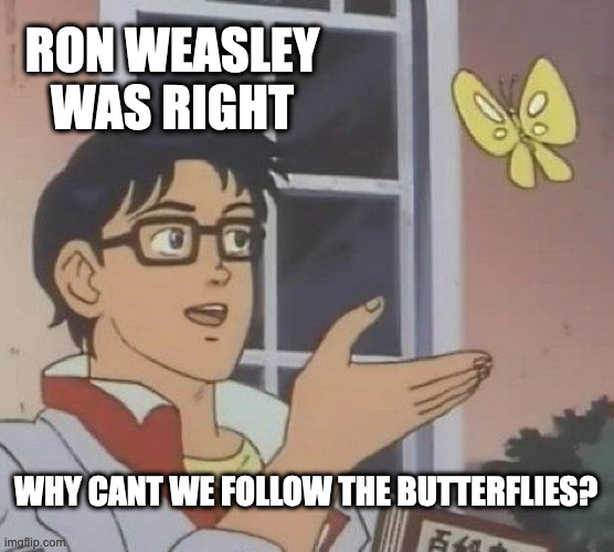 Is This A Pigeon Meme | RON WEASLEY WAS RIGHT; WHY CANT WE FOLLOW THE BUTTERFLIES? | image tagged in memes,is this a pigeon | made w/ Imgflip meme maker