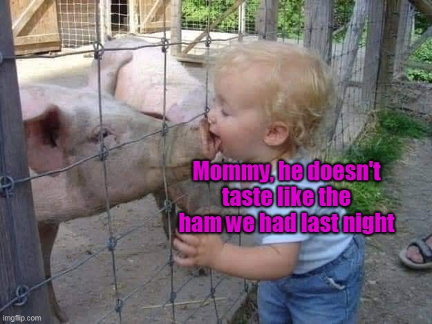 False Dinner Hopes |  Mommy, he doesn't taste like the ham we had last night | image tagged in meme,memes,pigs,humor | made w/ Imgflip meme maker