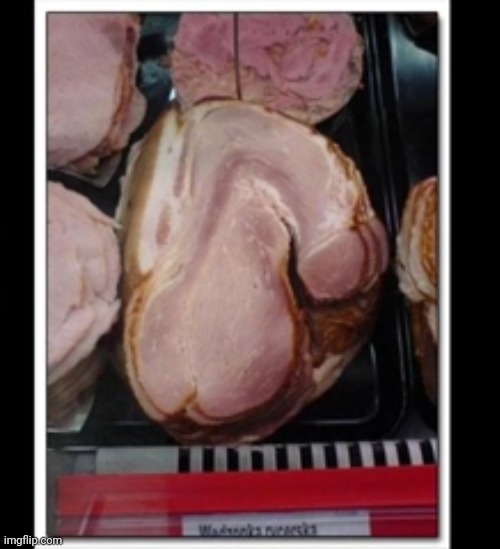 image tagged in funny memes | made w/ Imgflip meme maker