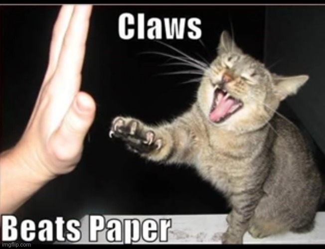 image tagged in funny memes | made w/ Imgflip meme maker