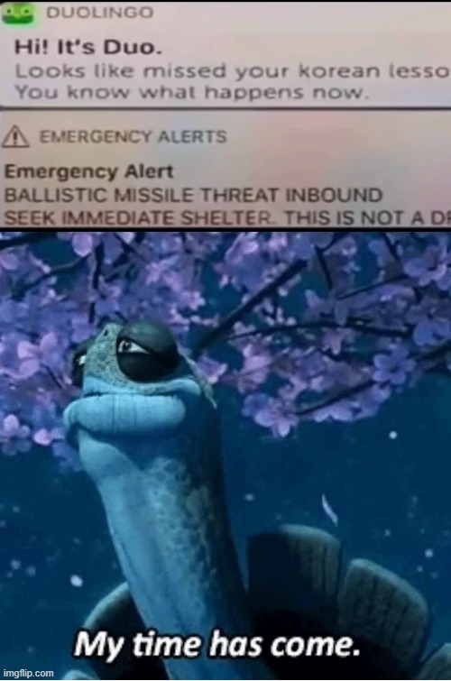oof | image tagged in my time has come,missile,funny,kung fu panda,duolingo,oh wow are you actually reading these tags | made w/ Imgflip meme maker