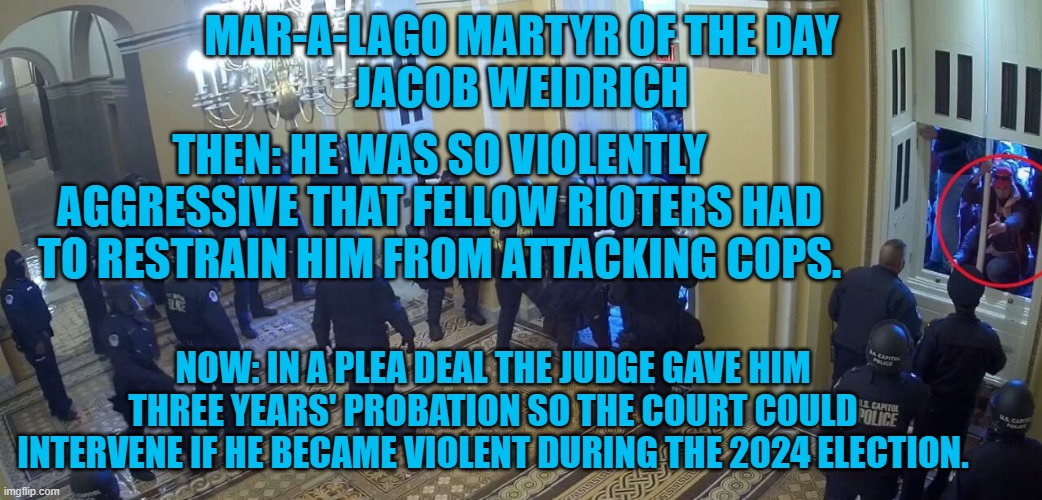 The judge gave this attack dog for the Tangerine Tyrant, a short leash. | MAR-A-LAGO MARTYR OF THE DAY
JACOB WEIDRICH; THEN: HE WAS SO VIOLENTLY AGGRESSIVE THAT FELLOW RIOTERS HAD TO RESTRAIN HIM FROM ATTACKING COPS. NOW: IN A PLEA DEAL THE JUDGE GAVE HIM THREE YEARS' PROBATION SO THE COURT COULD INTERVENE IF HE BECAME VIOLENT DURING THE 2024 ELECTION. | image tagged in politics | made w/ Imgflip meme maker