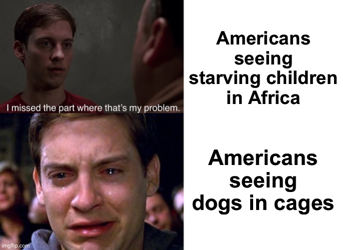 Americans seeing starving children in Africa; Americans seeing dogs in cages | image tagged in i missed the part,toby mcguire tears,blank white template | made w/ Imgflip meme maker