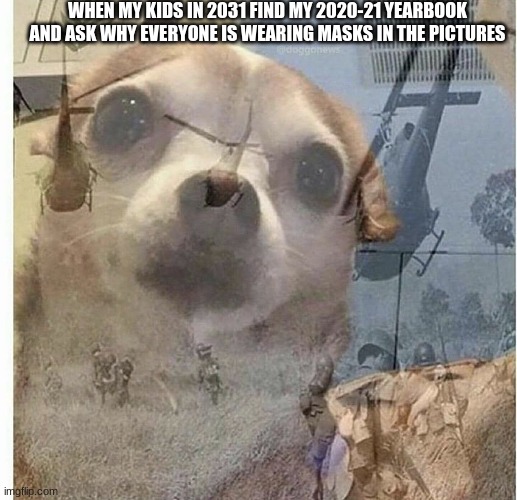 PTSD Chihuahua | WHEN MY KIDS IN 2031 FIND MY 2020-21 YEARBOOK AND ASK WHY EVERYONE IS WEARING MASKS IN THE PICTURES | image tagged in ptsd chihuahua | made w/ Imgflip meme maker