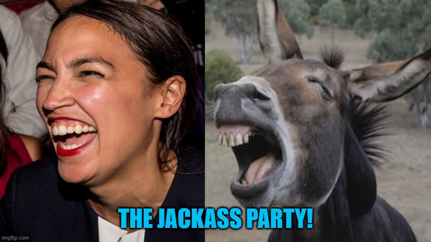 AOC DONKEY | THE JACKASS PARTY! | image tagged in aoc donkey | made w/ Imgflip meme maker