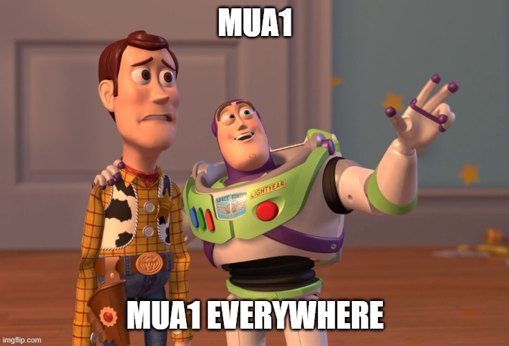 X, X Everywhere | MUA1; MUA1 EVERYWHERE | image tagged in memes,x x everywhere | made w/ Imgflip meme maker