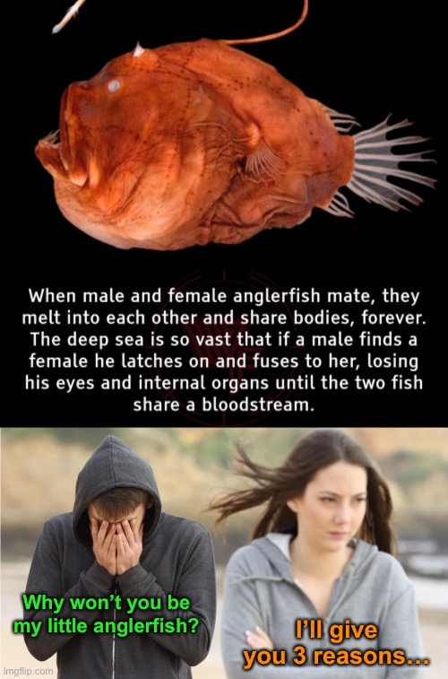 Eyes, Organs, and Bloodstream |  Why won’t you be my little anglerfish? I’ll give you 3 reasons… | image tagged in funny memes,relationships | made w/ Imgflip meme maker