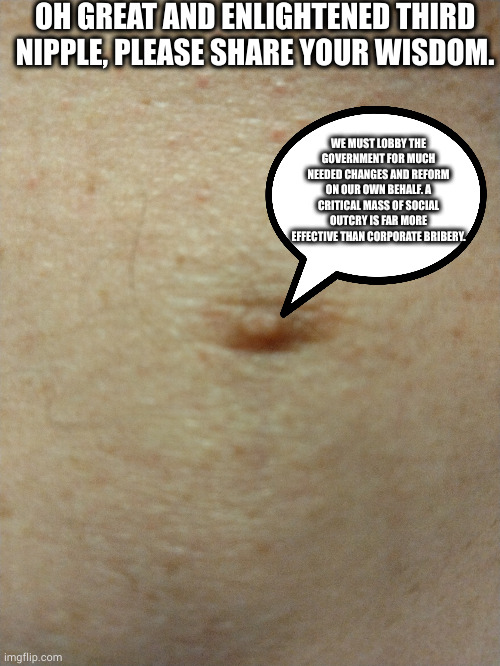 Cry out | OH GREAT AND ENLIGHTENED THIRD NIPPLE, PLEASE SHARE YOUR WISDOM. WE MUST LOBBY THE GOVERNMENT FOR MUCH NEEDED CHANGES AND REFORM ON OUR OWN BEHALF. A CRITICAL MASS OF SOCIAL OUTCRY IS FAR MORE EFFECTIVE THAN CORPORATE BRIBERY. | image tagged in sezmos third nipple | made w/ Imgflip meme maker
