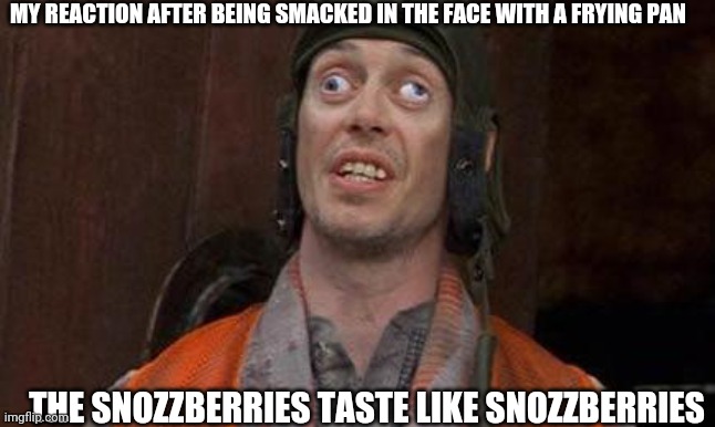 Looks Good To Me | MY REACTION AFTER BEING SMACKED IN THE FACE WITH A FRYING PAN; THE SNOZZBERRIES TASTE LIKE SNOZZBERRIES | image tagged in looks good to me | made w/ Imgflip meme maker