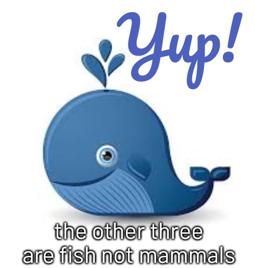 Yup! the other three are fish not mammals | made w/ Imgflip meme maker