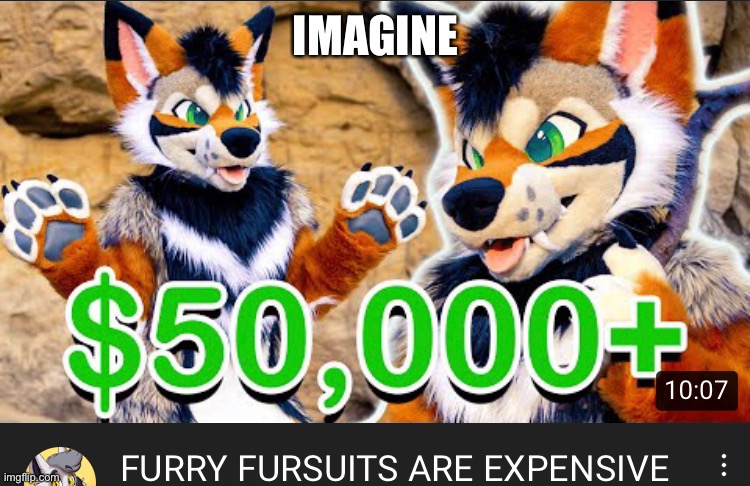 man some ppl gotta pay their taxes | IMAGINE | image tagged in furry cringe | made w/ Imgflip meme maker