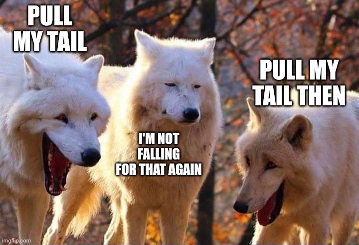 Laughing wolf | PULL MY TAIL; PULL MY TAIL THEN; I'M NOT FALLING FOR THAT AGAIN | image tagged in laughing wolf | made w/ Imgflip meme maker