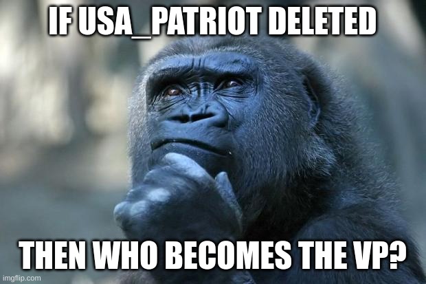 Deep Thoughts | IF USA_PATRIOT DELETED; THEN WHO BECOMES THE VP? | image tagged in deep thoughts | made w/ Imgflip meme maker