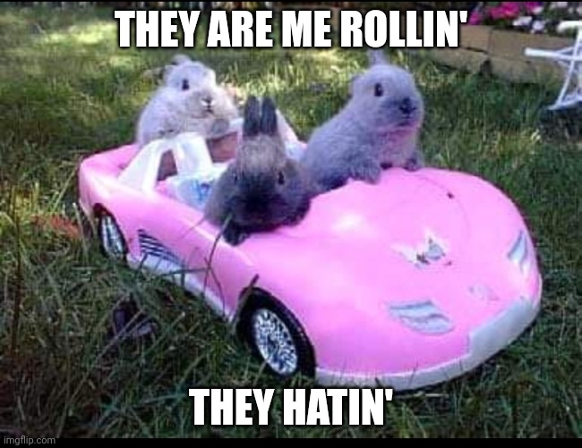 A BUNNY RIDE | THEY ARE ME ROLLIN'; THEY HATIN' | image tagged in bunnies,rabbits | made w/ Imgflip meme maker