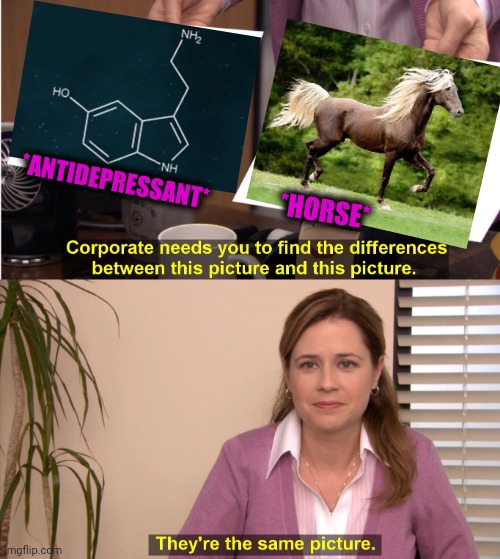 -A horse with no name. | *ANTIDEPRESSANT*; *HORSE* | image tagged in memes,they're the same picture,horse face,molly,meds,prescription | made w/ Imgflip meme maker