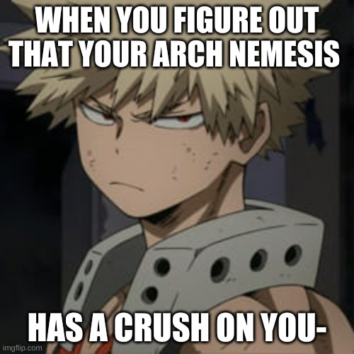 WHEN YOU FIGURE OUT THAT YOUR ARCH NEMESIS; HAS A CRUSH ON YOU- | image tagged in bakugo,bnha | made w/ Imgflip meme maker