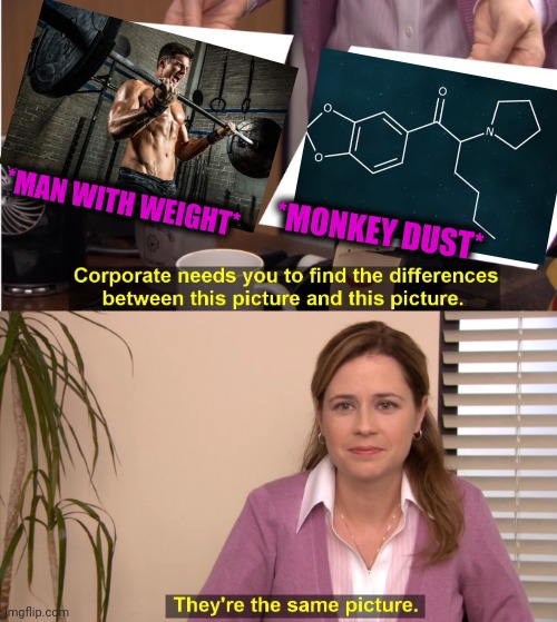 -Do training harder! | *MAN WITH WEIGHT*; *MONKEY DUST* | image tagged in memes,they're the same picture,weight lifting,gymlife,monkey ooh,dust | made w/ Imgflip meme maker