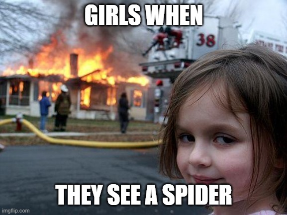Disaster Girl Meme | GIRLS WHEN; THEY SEE A SPIDER | image tagged in memes,disaster girl | made w/ Imgflip meme maker