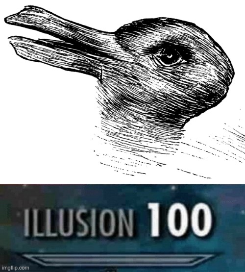 Is it a duck or a rabbit? | image tagged in illusion 100 | made w/ Imgflip meme maker