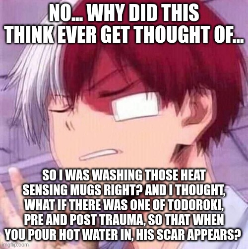 Todoroki | NO... WHY DID THIS THINK EVER GET THOUGHT OF... SO I WAS WASHING THOSE HEAT SENSING MUGS RIGHT? AND I THOUGHT, WHAT IF THERE WAS ONE OF TODOROKI, PRE AND POST TRAUMA, SO THAT WHEN YOU POUR HOT WATER IN, HIS SCAR APPEARS? | image tagged in todoroki | made w/ Imgflip meme maker