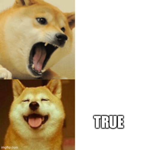Doge Hotline Meme | TRUE | image tagged in doge hotline meme | made w/ Imgflip meme maker