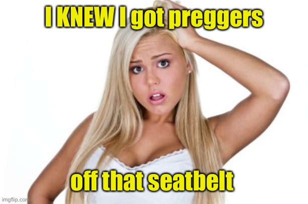 Dumb Blonde | I KNEW I got preggers off that seatbelt | image tagged in dumb blonde | made w/ Imgflip meme maker