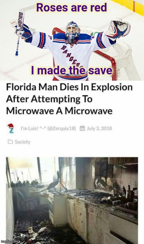 Never been to Florida | Roses are red; I made the save | image tagged in henrik lundquist,florida man,what the hell happened here | made w/ Imgflip meme maker