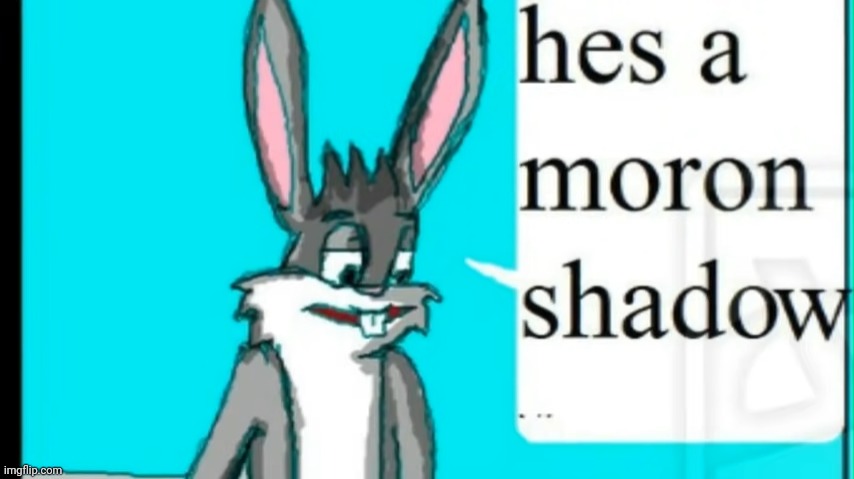 He's a moron, Shadow. | image tagged in he's a moron shadow | made w/ Imgflip meme maker
