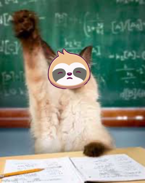 High Quality Sloth cat raising hand Blank Meme Template