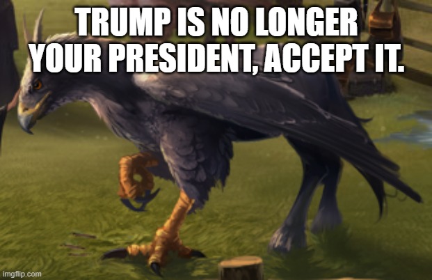 Hippogriff | TRUMP IS NO LONGER YOUR PRESIDENT, ACCEPT IT. | image tagged in hippogriff | made w/ Imgflip meme maker