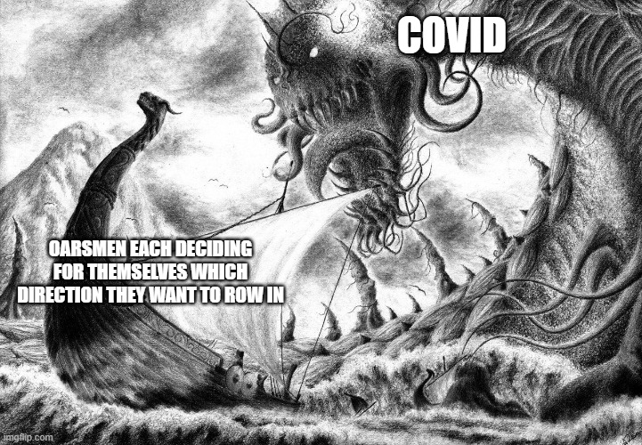 We're All In The Same Boat, So How Do We Defend Freedom Of Choice From People Who Consistently Make Poor Choices? | COVID; OARSMEN EACH DECIDING FOR THEMSELVES WHICH DIRECTION THEY WANT TO ROW IN | image tagged in covid,covidiots,pro-choice,poor choices,freedom,the hardest choices require the strongest wills | made w/ Imgflip meme maker