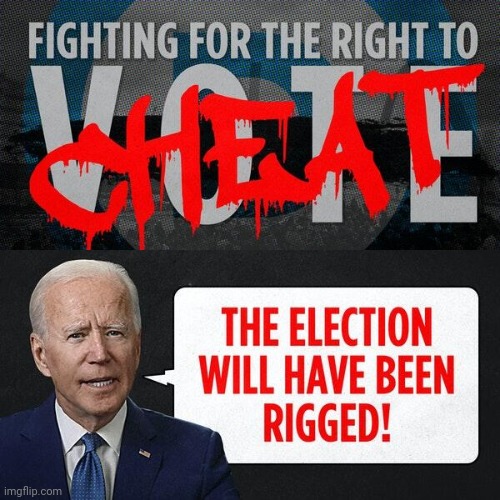 Fighting to Cheat | image tagged in joe biden | made w/ Imgflip meme maker