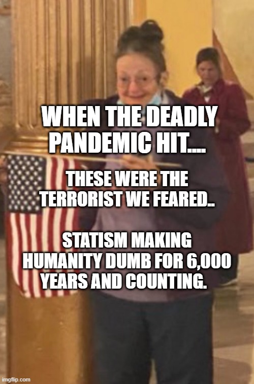 Meemaw at the capitol | THESE WERE THE TERRORIST WE FEARED..               STATISM MAKING HUMANITY DUMB FOR 6,000 YEARS AND COUNTING. WHEN THE DEADLY PANDEMIC HIT.... | image tagged in meemaw at the capitol | made w/ Imgflip meme maker