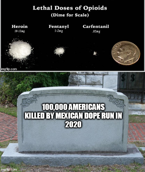  100,000 AMERICANS KILLED BY MEXICAN DOPE RUN IN
2020 | image tagged in dope,gravestone | made w/ Imgflip meme maker