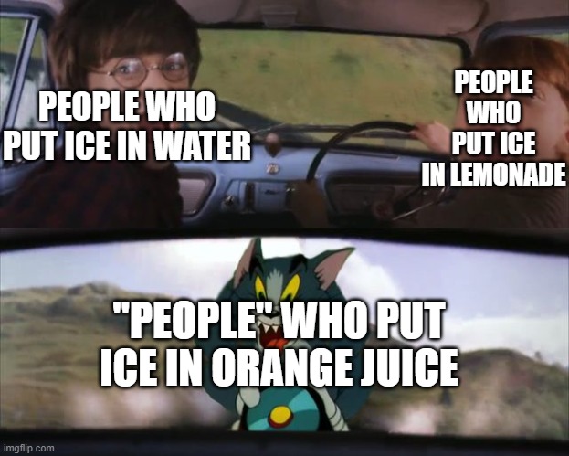 bruhbruhbruhbruhbruhbrhu | PEOPLE WHO PUT ICE IN LEMONADE; PEOPLE WHO PUT ICE IN WATER; "PEOPLE" WHO PUT ICE IN ORANGE JUICE | image tagged in crazy tom car,memes,psychopath,true,funny memes,tom and jerry | made w/ Imgflip meme maker
