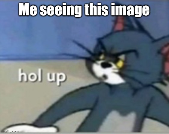 Hol up | Me seeing this image | image tagged in hol up | made w/ Imgflip meme maker