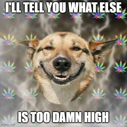 Stoner Dog | I'LL TELL YOU WHAT ELSE IS TOO DAMN HIGH | image tagged in stoner dog | made w/ Imgflip meme maker