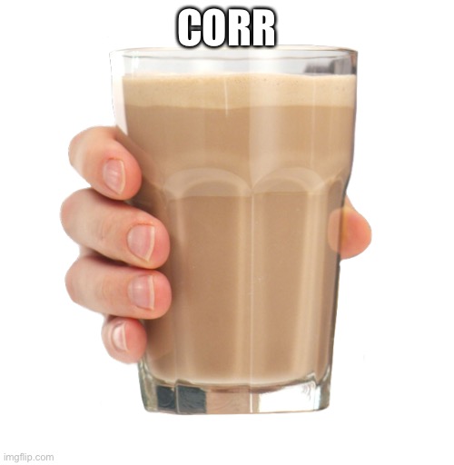 Choccy Milk | CORRECT | image tagged in choccy milk | made w/ Imgflip meme maker